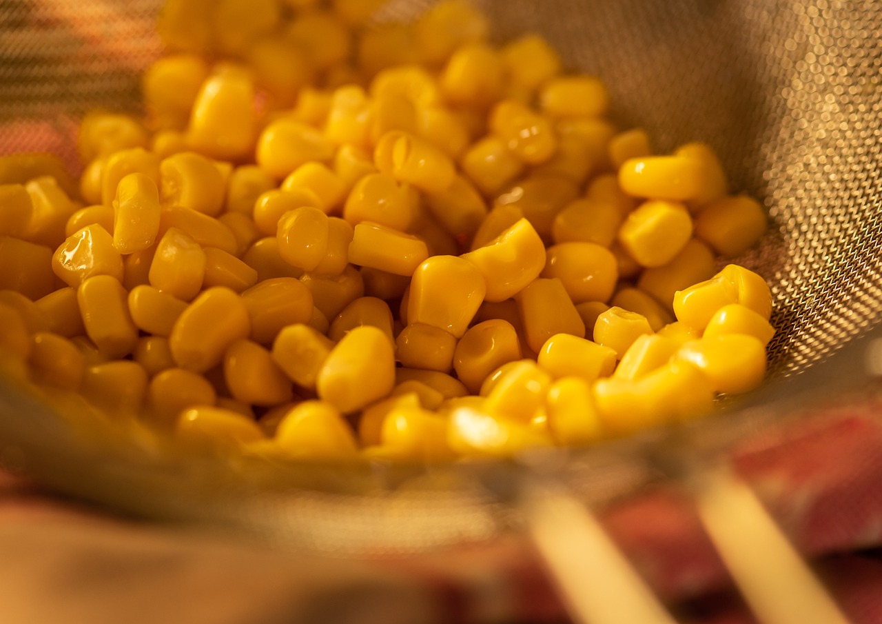 corn, kitchen sieve, drain-4198240.jpg